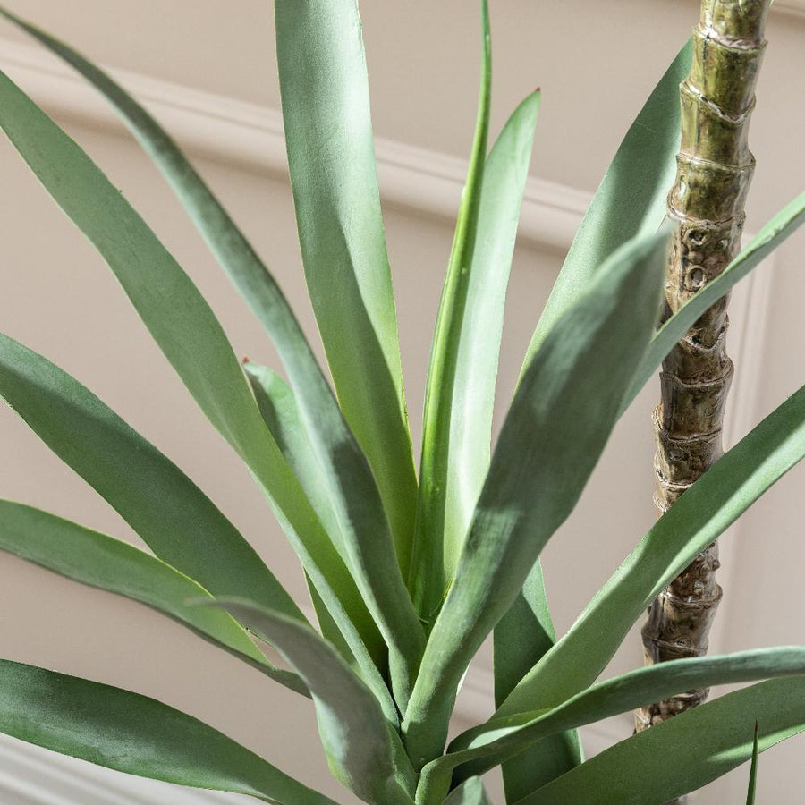 Artificial Yucca Tree UV/IFV in Harrith Beige Planter