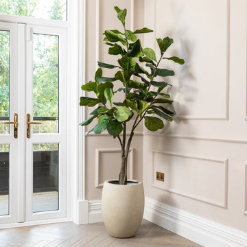 Artificial Fiddle Fig Tree UV/IFV in Antique White Planter