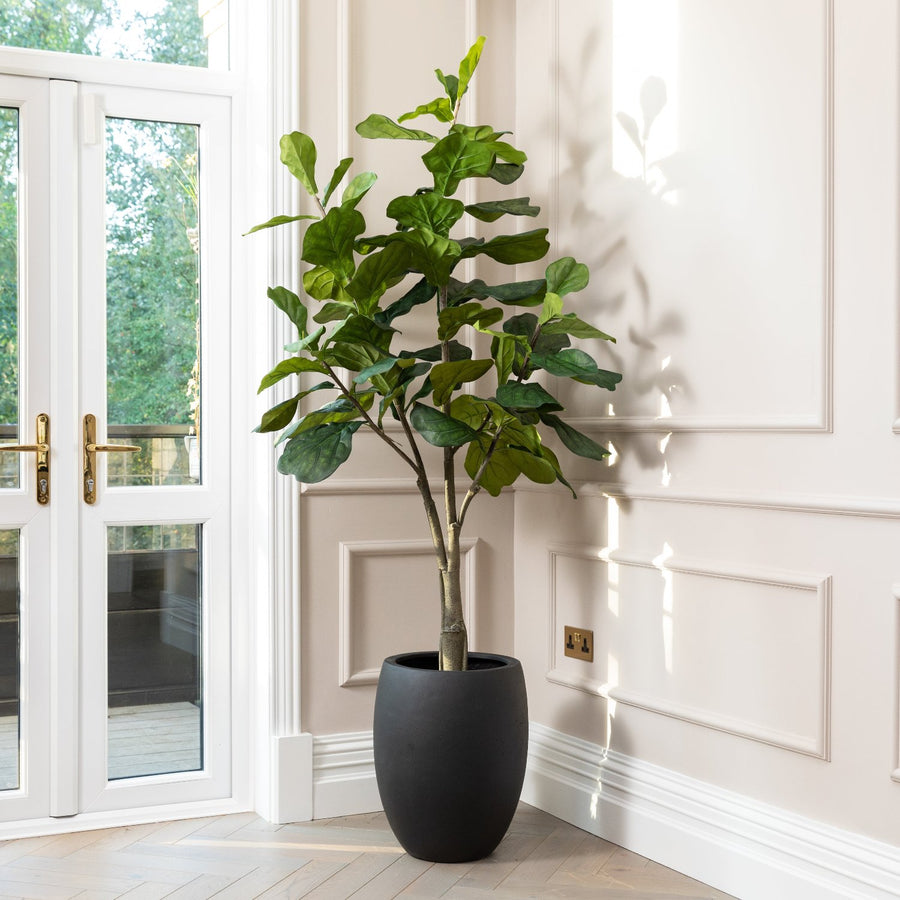 Artificial Fiddle Fig Tree UV/IFV in Black Planter